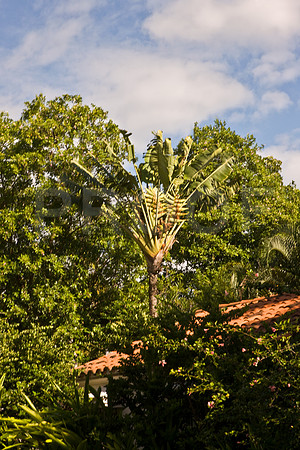 0042_DG_Fisher_Island_Miami_FL5L8Y1827