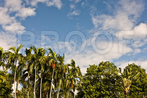 0042_DG_Fisher_Island_Miami_FL5L8Y1822