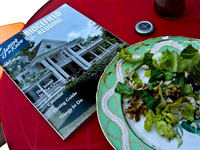 06593_DG_COLOR_RIDGEFIELD_CONNECTICUT_CT_USA_2007_Sony_CT_870_06