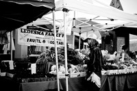 0027_DG_Corta_Madera_CA_USA_2009_5L8Y1194