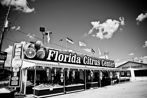 0014_DG_Villager_RV_FL_USA_2009_5L8Y0136