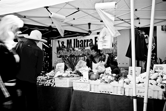 0027_DG_Corta_Madera_CA_USA_2009_5L8Y1196