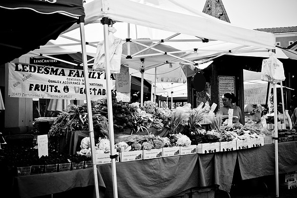 0027_DG_Corta_Madera_CA_USA_2009_5L8Y1200
