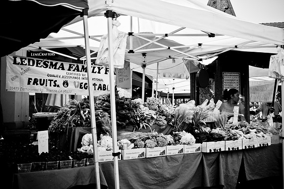 0027_DG_Corta_Madera_CA_USA_2009_5L8Y1203