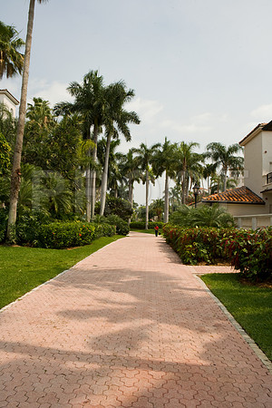 85474_FL_DG_ZV4N9696