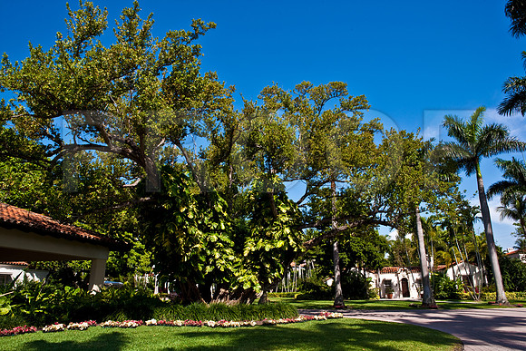 85473_ZV4N1910_Fisher_Island_4_2007