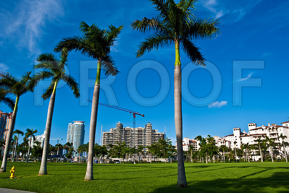 85508_ZV4N2231_Florida_USA