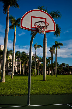 85508_ZV4N2229_Florida_USA