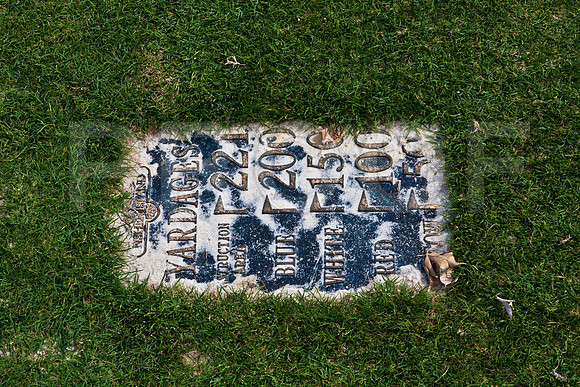 85507_ZV4N0767_Florida_USA