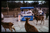 1983_Japan_017