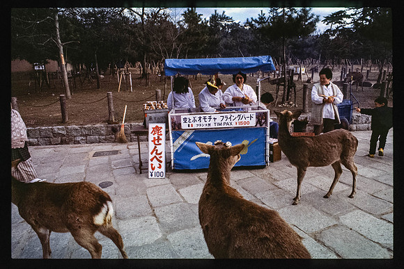 1983_Japan_017