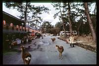1983_Japan_021