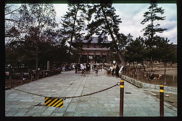 1983_Japan_019