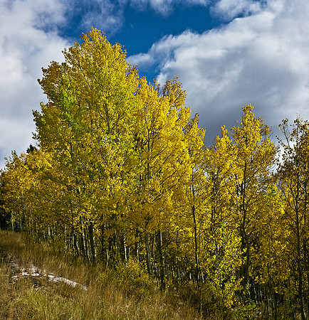 6066_FM_COLOR_SQ_SUN_VALLEY_IDAHO_05_10.jpg