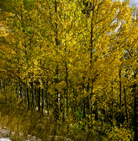 6066_FM_COLOR_SQ_SUN_VALLEY_IDAHO_05_1.jpg