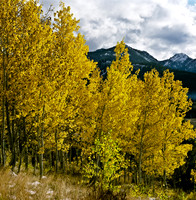 6066_FM_COLOR_SQ_SUN_VALLEY_IDAHO_05.jpg