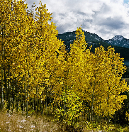 6066_FM_COLOR_SQ_SUN_VALLEY_IDAHO_05.jpg