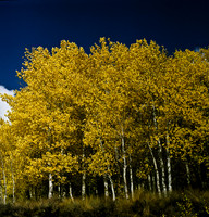 6066_FM_COLOR_SQ_SUN_VALLEY_IDAHO_05_9.jpg