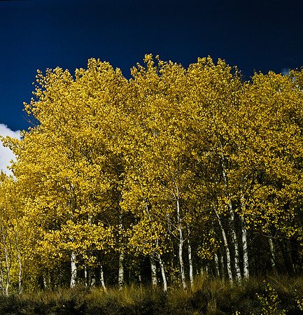 6066_FM_COLOR_SQ_SUN_VALLEY_IDAHO_05_9.jpg