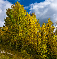 6066_FM_COLOR_SQ_SUN_VALLEY_IDAHO_05_11.jpg