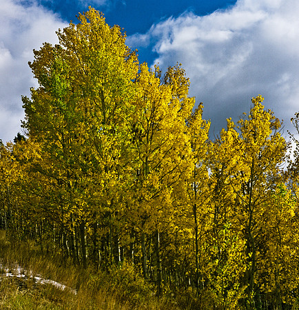 6066_FM_COLOR_SQ_SUN_VALLEY_IDAHO_05_11.jpg