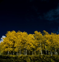 6066_FM_COLOR_SQ_SUN_VALLEY_IDAHO_05_7.jpg