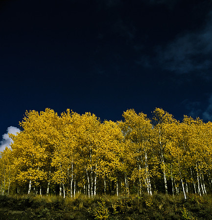 6066_FM_COLOR_SQ_SUN_VALLEY_IDAHO_05_7.jpg