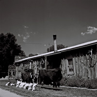 36109_BW_SQ_USA_KANSAS_03.jpg