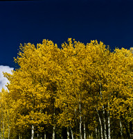 6066_FM_COLOR_SQ_SUN_VALLEY_IDAHO_05_8.jpg
