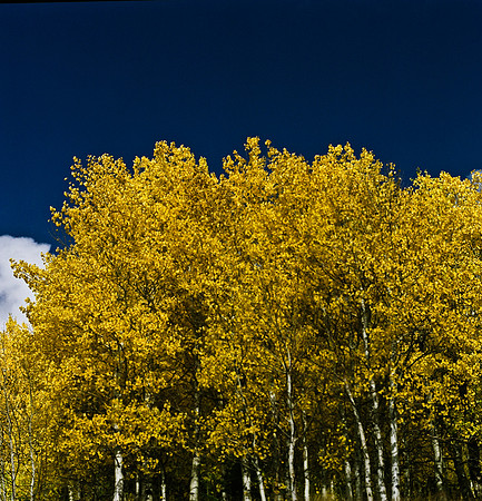 6066_FM_COLOR_SQ_SUN_VALLEY_IDAHO_05_8.jpg