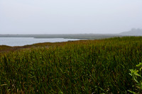 36361_DG_COLOR_BODEGA_BAY_CALIFORNIA_CA_USA_2007_ZV4N_3569