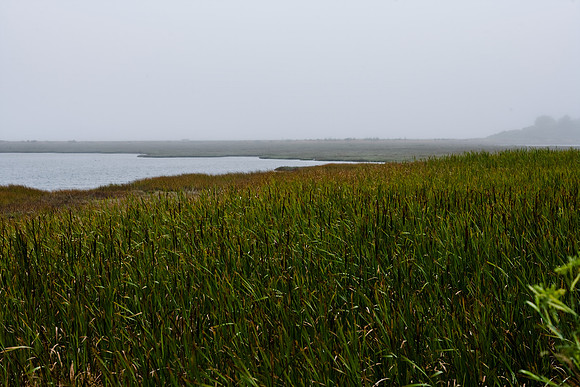 36361_DG_COLOR_BODEGA_BAY_CALIFORNIA_CA_USA_2007_ZV4N_3569