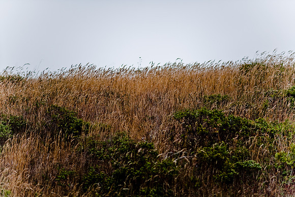 36361_DG_COLOR_BODEGA_BAY_CALIFORNIA_CA_USA_2007_ZV4N_3573