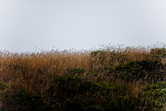 36361_DG_COLOR_BODEGA_BAY_CALIFORNIA_CA_USA_2007_ZV4N_3571