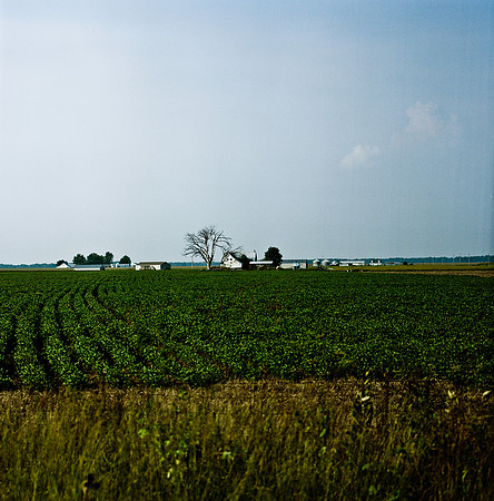62427_2008_FM_Color_StLouis_MO_USA_002