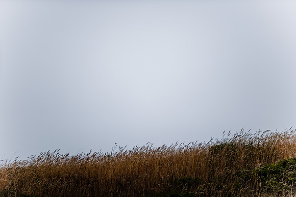 36361_DG_COLOR_BODEGA_BAY_CALIFORNIA_CA_USA_2007_ZV4N_3572