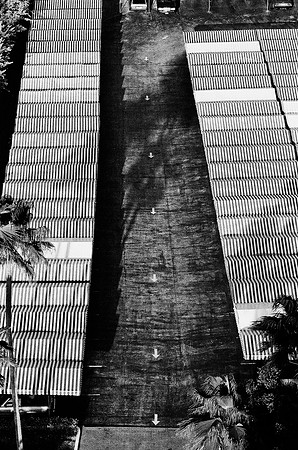 8687_FM_BW_Palm_Bay_Miami_FL_09.tif