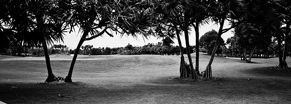 3328_FILM_BW_LR_MIAMIPORT_USA_FL_08_15.tif