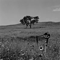 7542_B3P1_11_BW_MARSLAND_HWY71_NE_01.jpg
