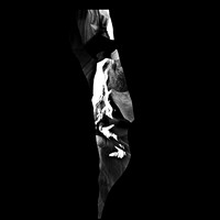 2289_FM_BW_NV_02_7.jpg