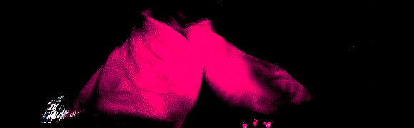 2316_fm_color_Las_Vegas_nv_02_1.jpg