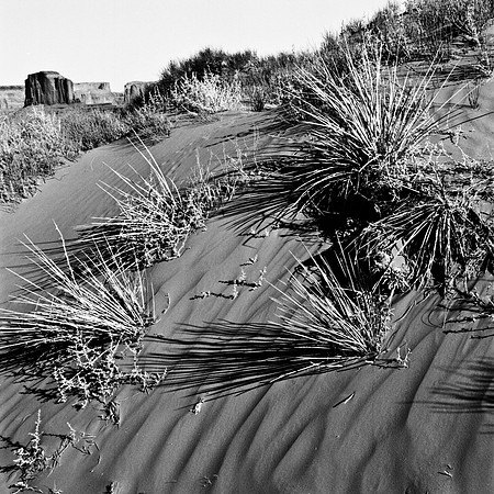 2297_FM_BW_UTAH_02_2.jpg