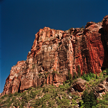 2295_FM_COLOR_NV_02_1.jpg