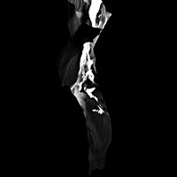 2289_FM_BW_NV_02_8.jpg