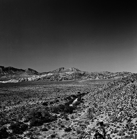 36059_BW_SQ_RED_ROCK_CAYON_NEVADA_NV_03_1.jpg