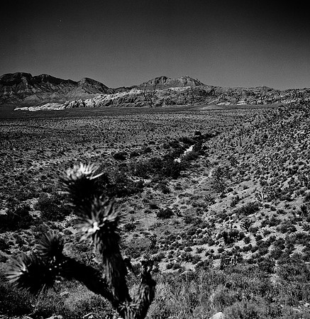 36059_BW_SQ_RED_ROCK_CAYON_NEVADA_NV_03_2.jpg