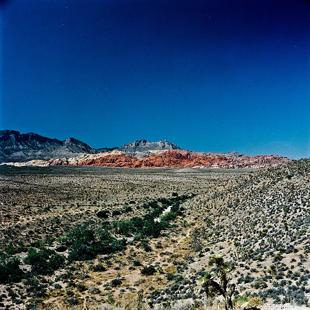 36060_FM_COLOR_CANYON_VEGAS_NV_03.jpg