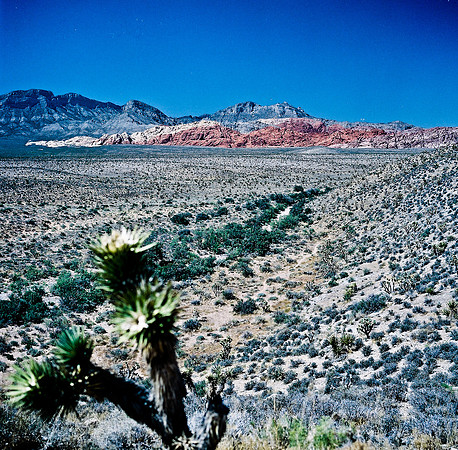 36060_FM_COLOR_CANYON_VEGAS_NV_03_2.jpg