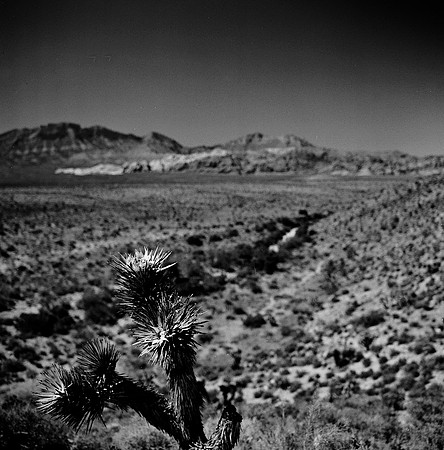 36059_BW_SQ_RED_ROCK_CAYON_NEVADA_NV_03_4.jpg
