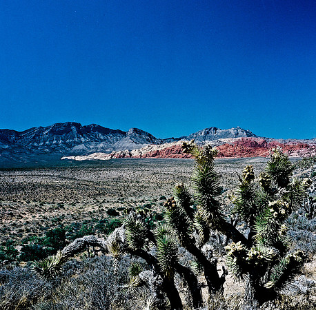 36060_FM_COLOR_CANYON_VEGAS_NV_03_6.jpg
